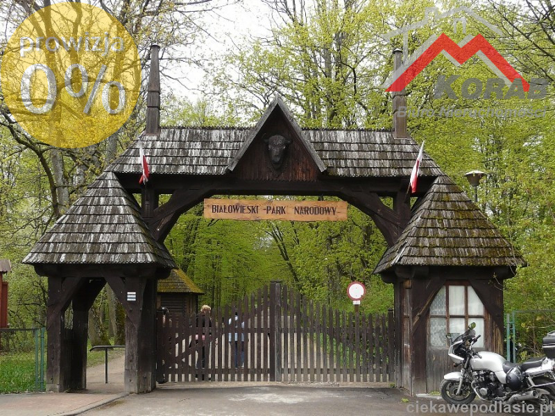 Białowieża, Białowieża