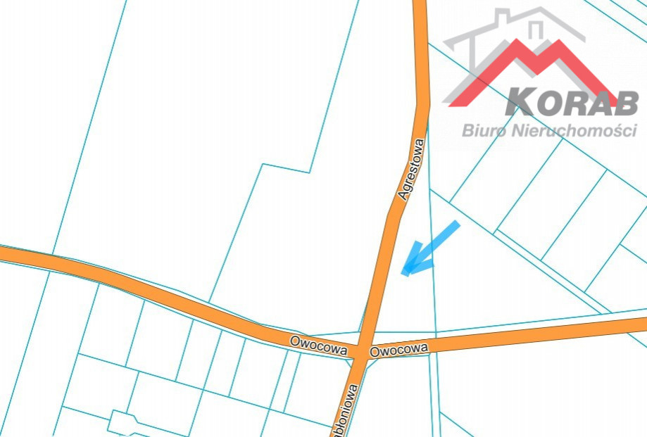 Kornelówka