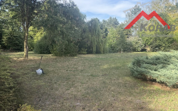 Dobrzyń, Prosta
