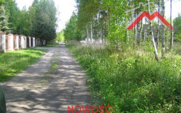 Dziekanów Polski, Przy puszczy!