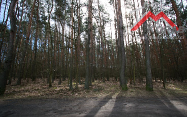 Dąbrowa, Dąbrowa