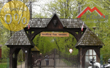 Białowieża, Białowieża