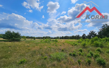 Cząstków Polski